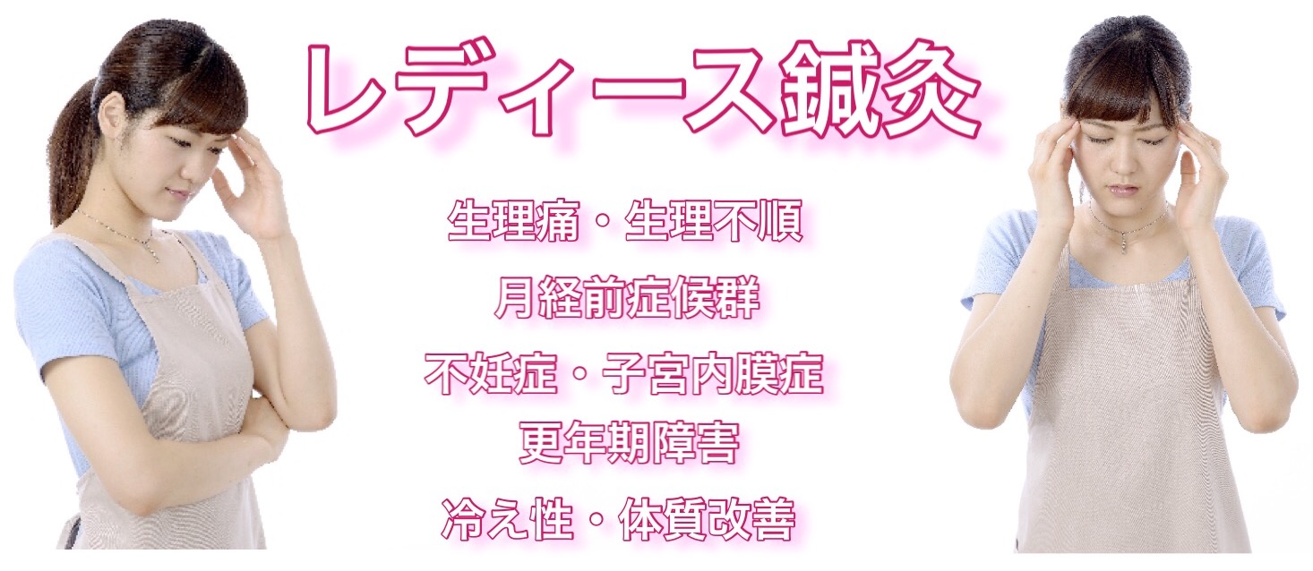 レディース鍼灸・生理痛・生理不順・更年期障害・不妊症・月経前緊張症・子宮内膜症・冷え性・体質改善