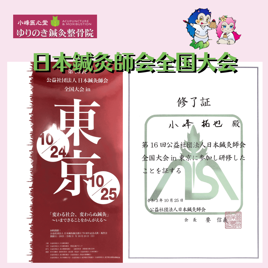 日本鍼灸師会全国大会in東京、社会、いまできること、春日部、東洋医学、病院、クリニック、医療、治療、介護、往診、訪問