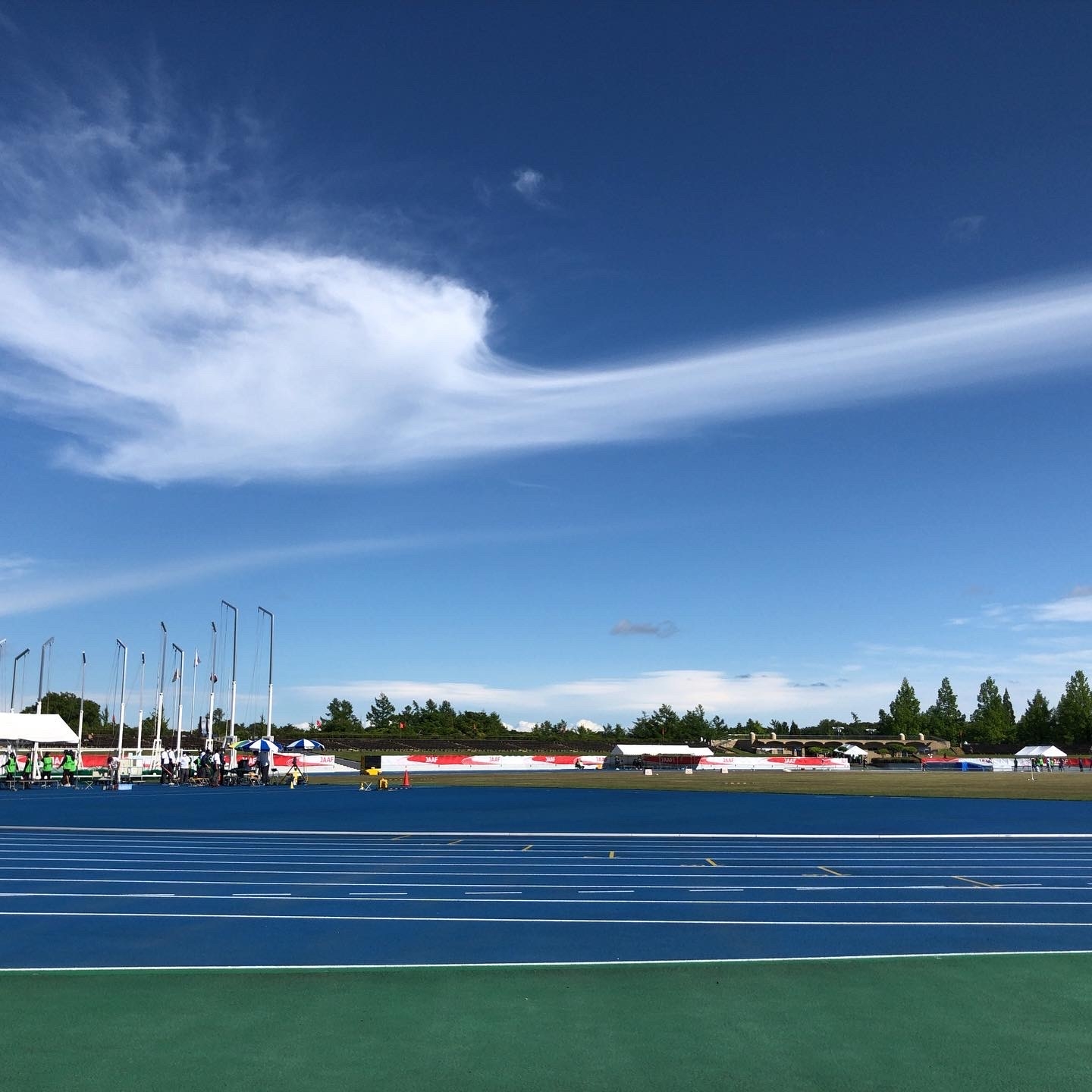 陸上、春日部、ゆりのき、県大会、日本選手権、学総、関東大会、野田、トレーナー、メンテナンス