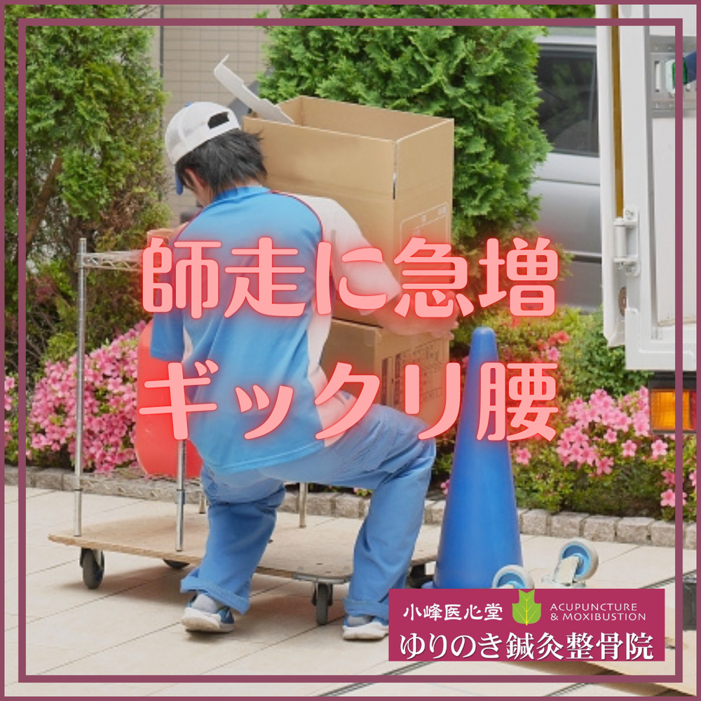 ぎっくり腰、ギックリ腰、腰痛、急性、慢性、予防、対策、埼玉県、春日部市、藤の牛島、南桜井、野田市、ゆりのき鍼灸整骨院