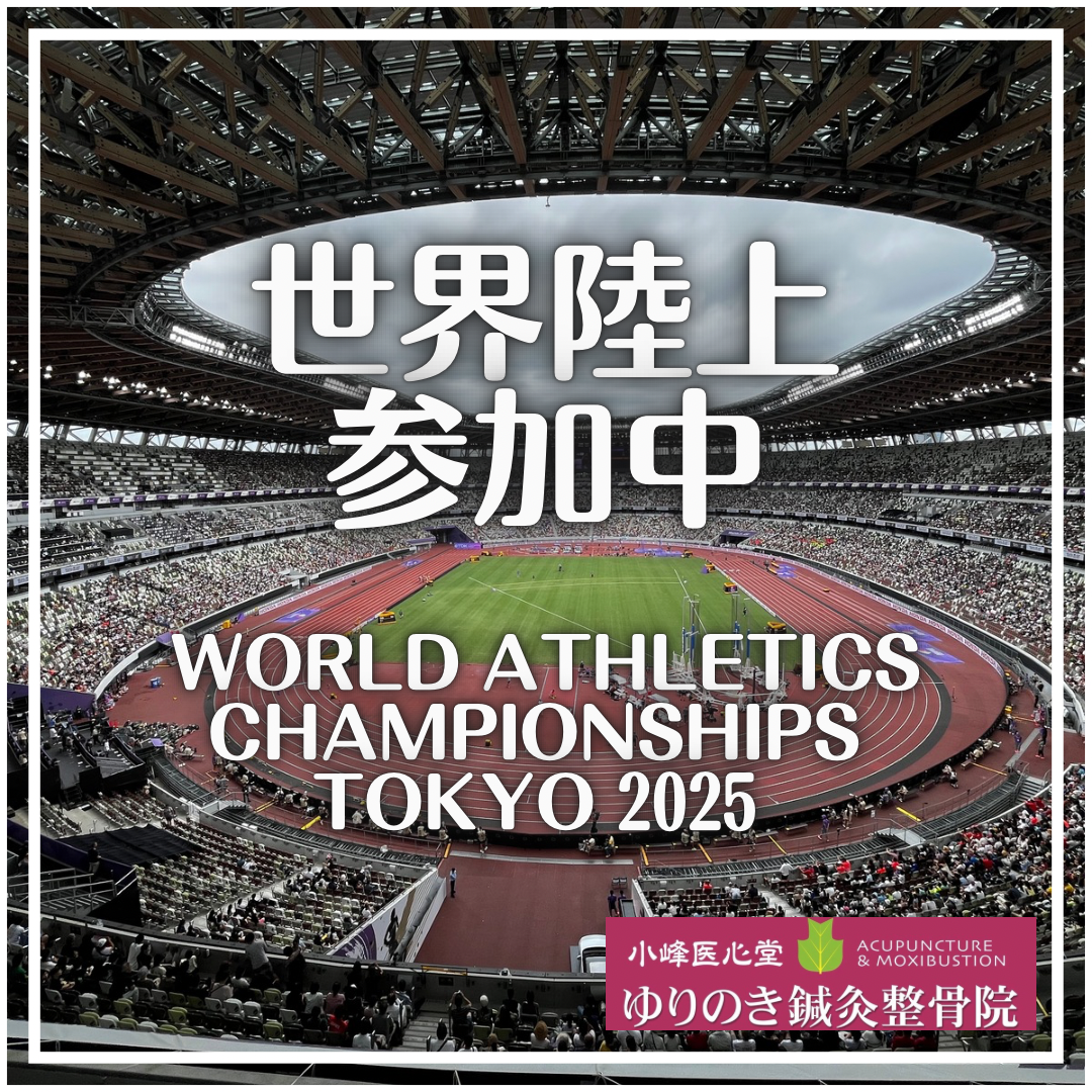 世界陸上、トレーナー、国立競技場、陸上競技、連盟、アスリート、ケア、世界標準、金メダル、日本新記録、ともに目指そう
